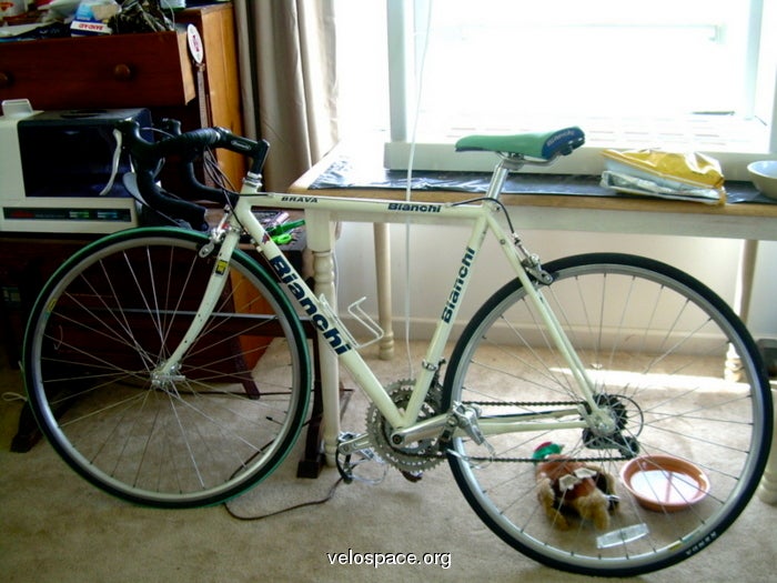 bianchi brava for sale