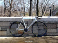 Cannondale Track