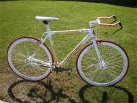 Wayshwing's Organic Bikes Bamboo Fixie