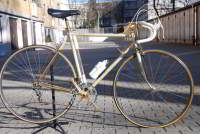 Casati Gold Line ICS