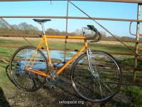 Merckx Orange Colnago Super