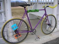 Purple Raleigh