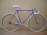 Meccanico Giro with Purple Fade