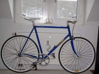 my new all day fixed gear