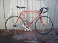 Reddy Merckx