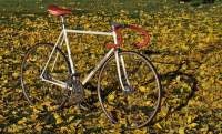 1985 Eddy Merckx Pista 57cm