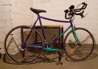 low pro fixed gear