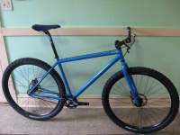 Raleigh XXIX 29er Singlespeed