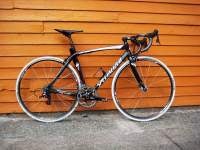 Specialized Tarmac Expert 2006 - I <3 Carbon