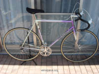 Collectors Show 1980's Classic Colnago with full Campagnolo