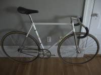 DeRosa Pista soLd to a good home in nyc