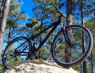 Mountain Bike - R.I.P