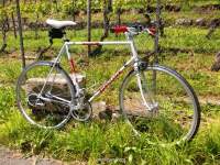 Peugeot Tourmalet 14speed *sold*